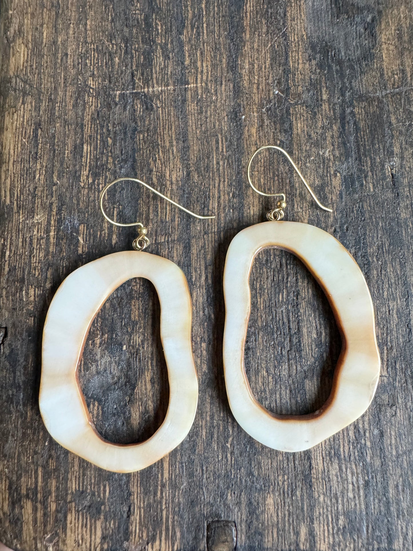 Open Shape Fossil Walrus Earrings