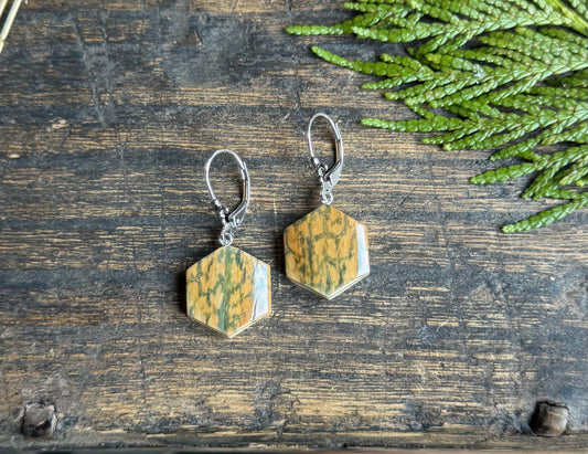 Mammoth Ivory + Sterling Silver Hexagon Earrings