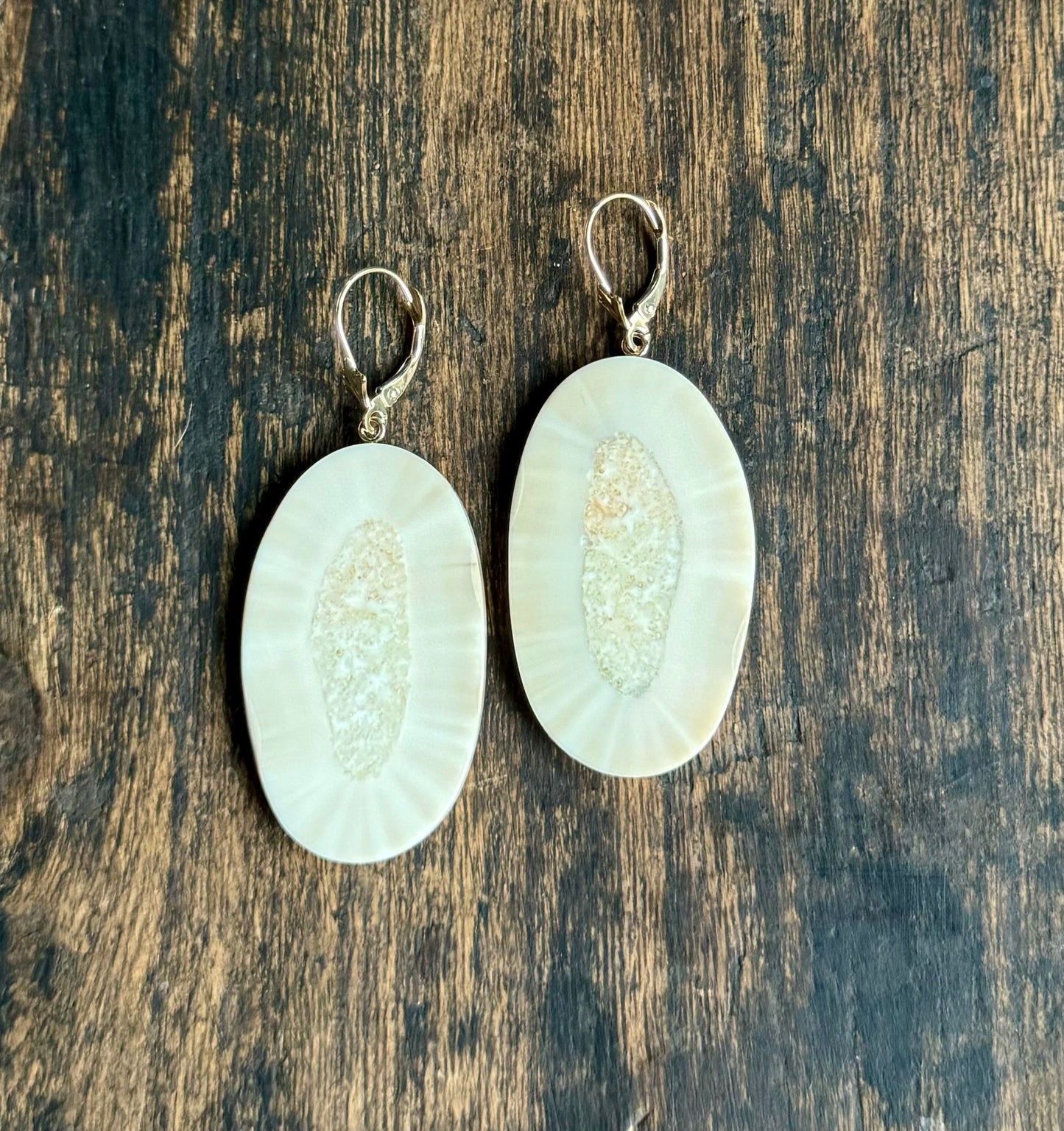 Fossil Walrus Ivory Slice Earrings