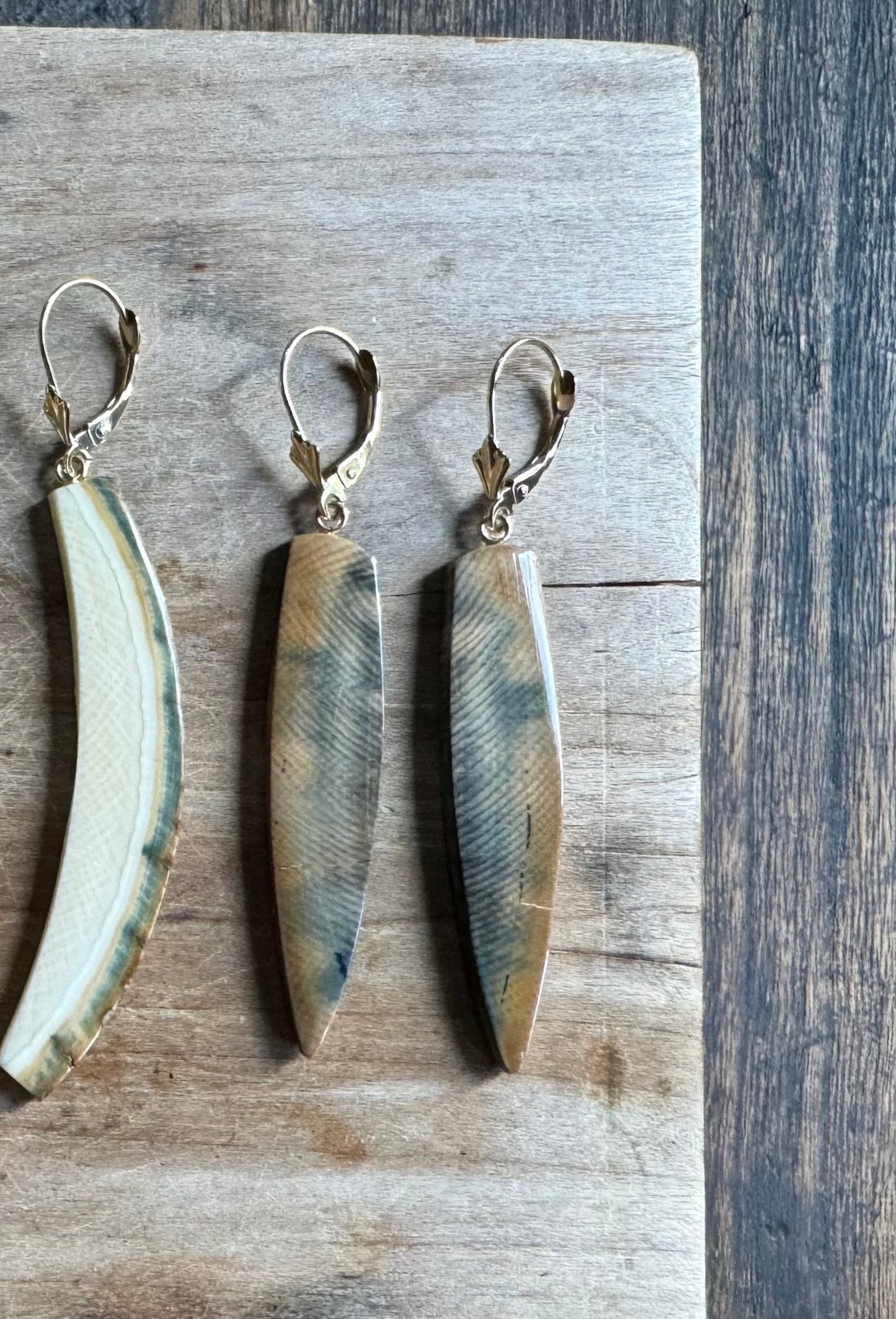 Rare Blue Mammoth Spike + 14kt Gold Earrings