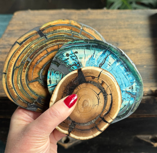 Prehistoric Woolly Mammoth Slice