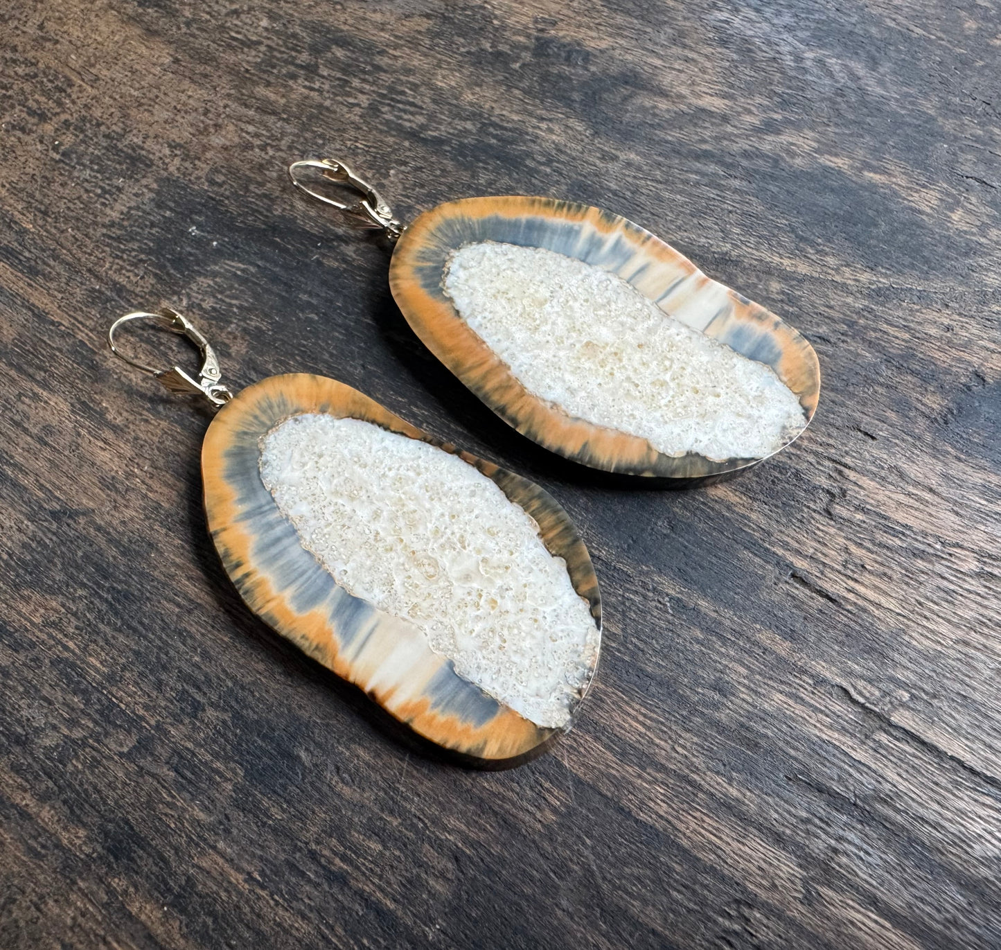 Fossil Walrus Rare Blue Carmel Tusk Slice + 14kt Gold Earrings