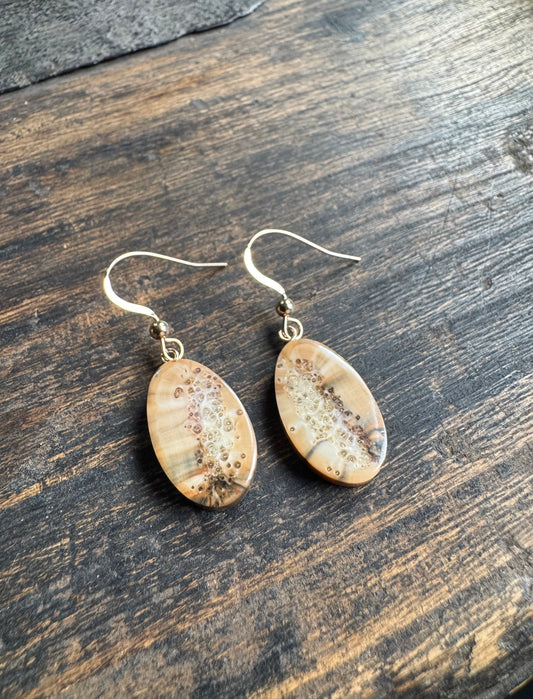 Fossil Walrus Tusk + 14kt Earrings