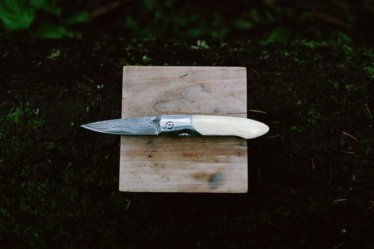 Ursa Blizzard Fossil Walrus Ivory Damascus Pocket Knife