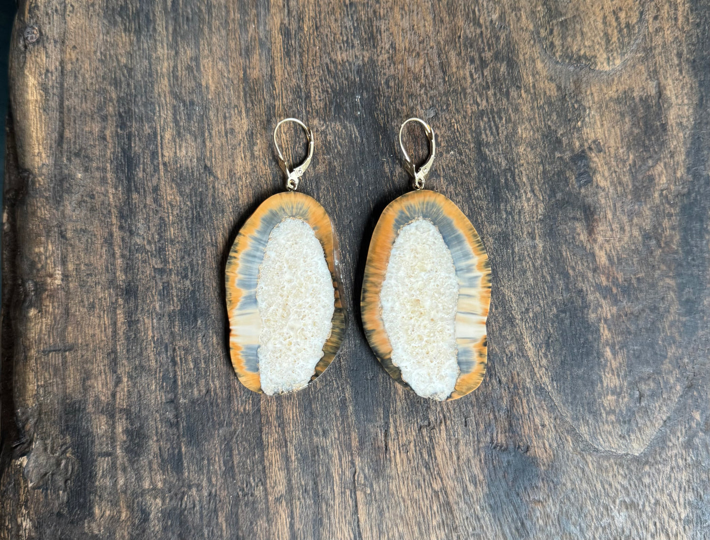 Fossil Walrus Rare Blue Carmel Tusk Slice + 14kt Gold Earrings