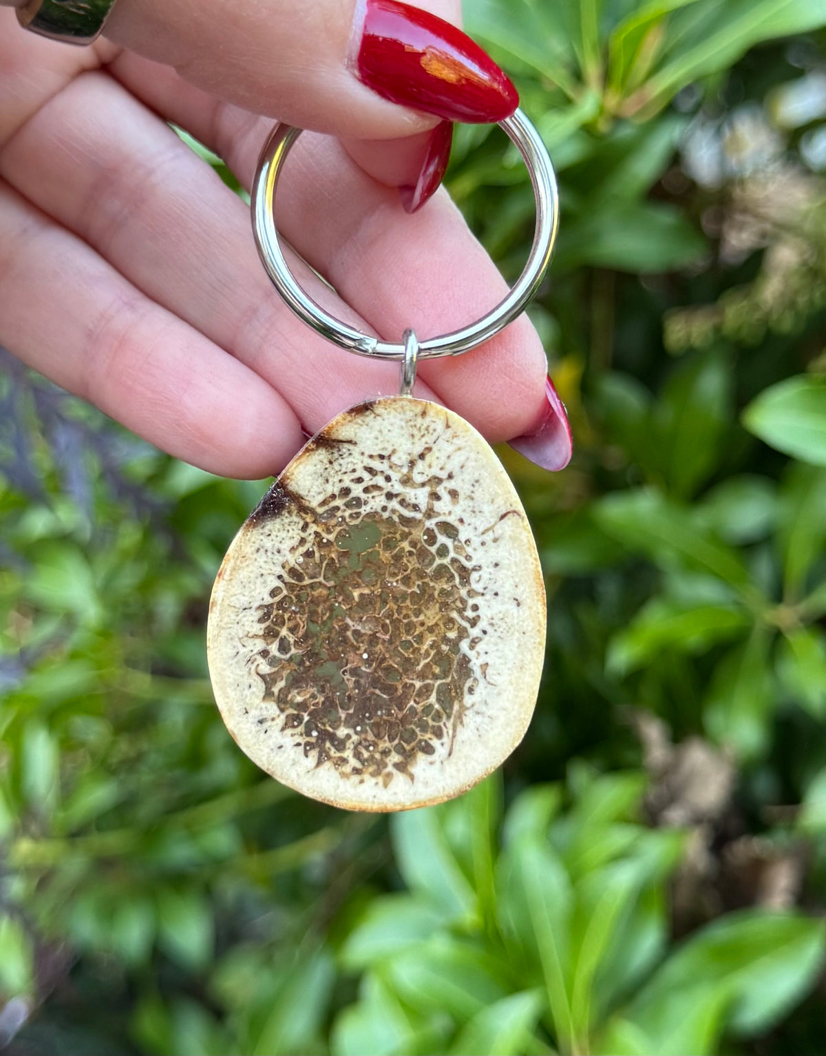 Fossil Walrus Oosik Key Ring