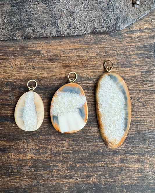Fossil Walrus Tusk Slice + 14kt Pendant