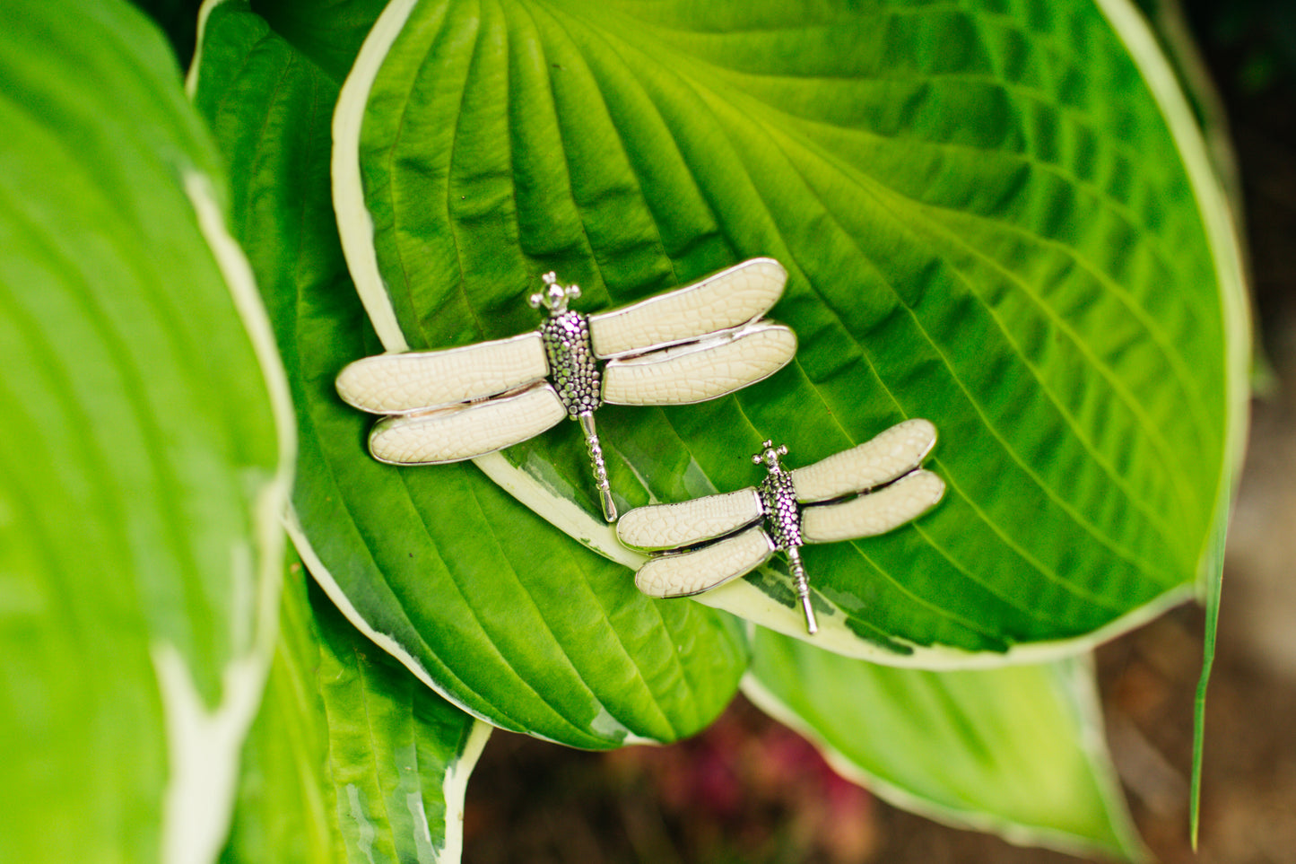 Dragonfly Pin/ Pendant