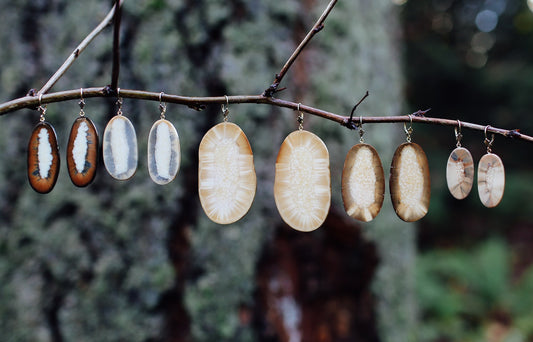 Premium Slice Earrings