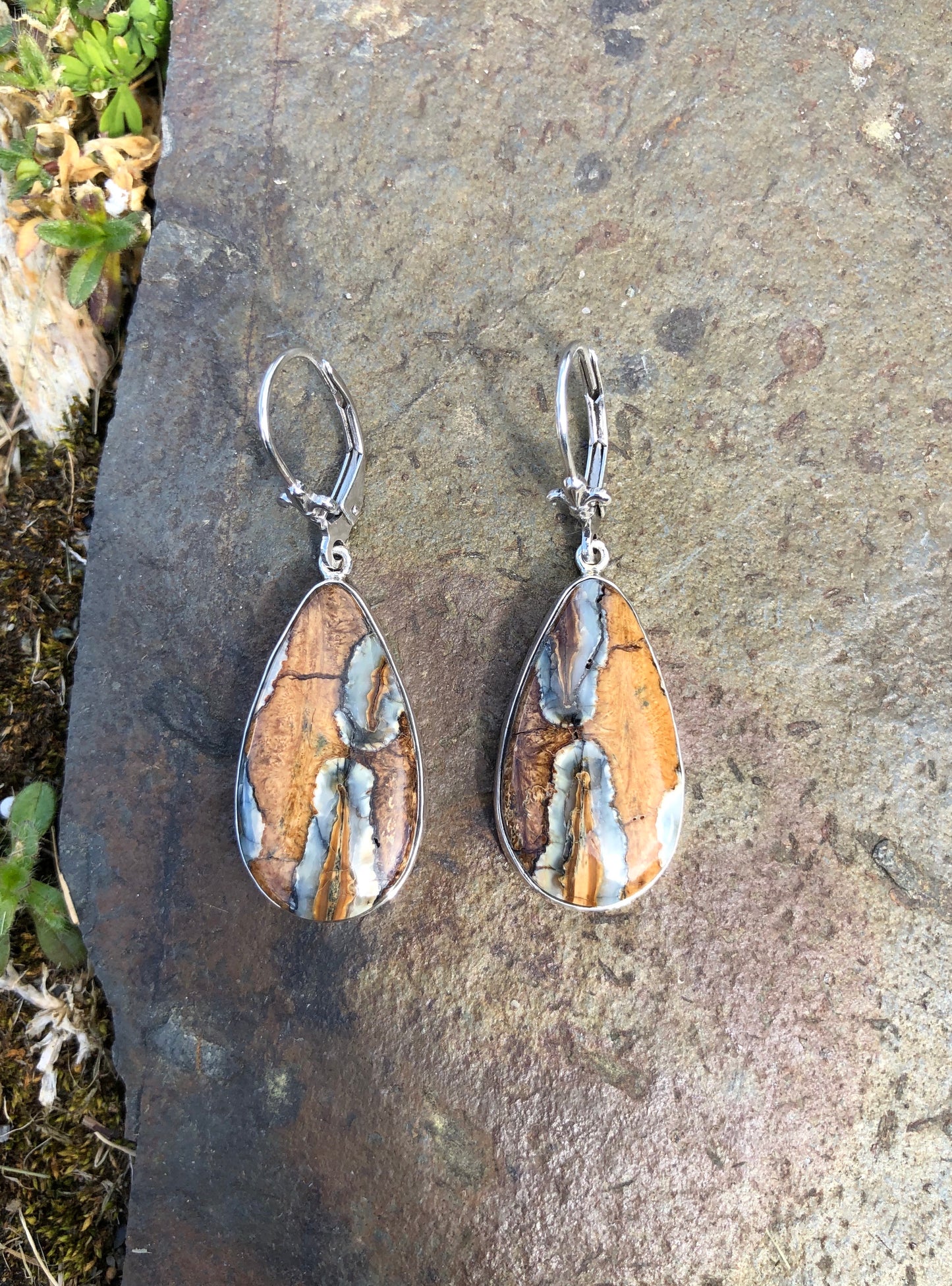 Mammoth Tooth Drop Earrings