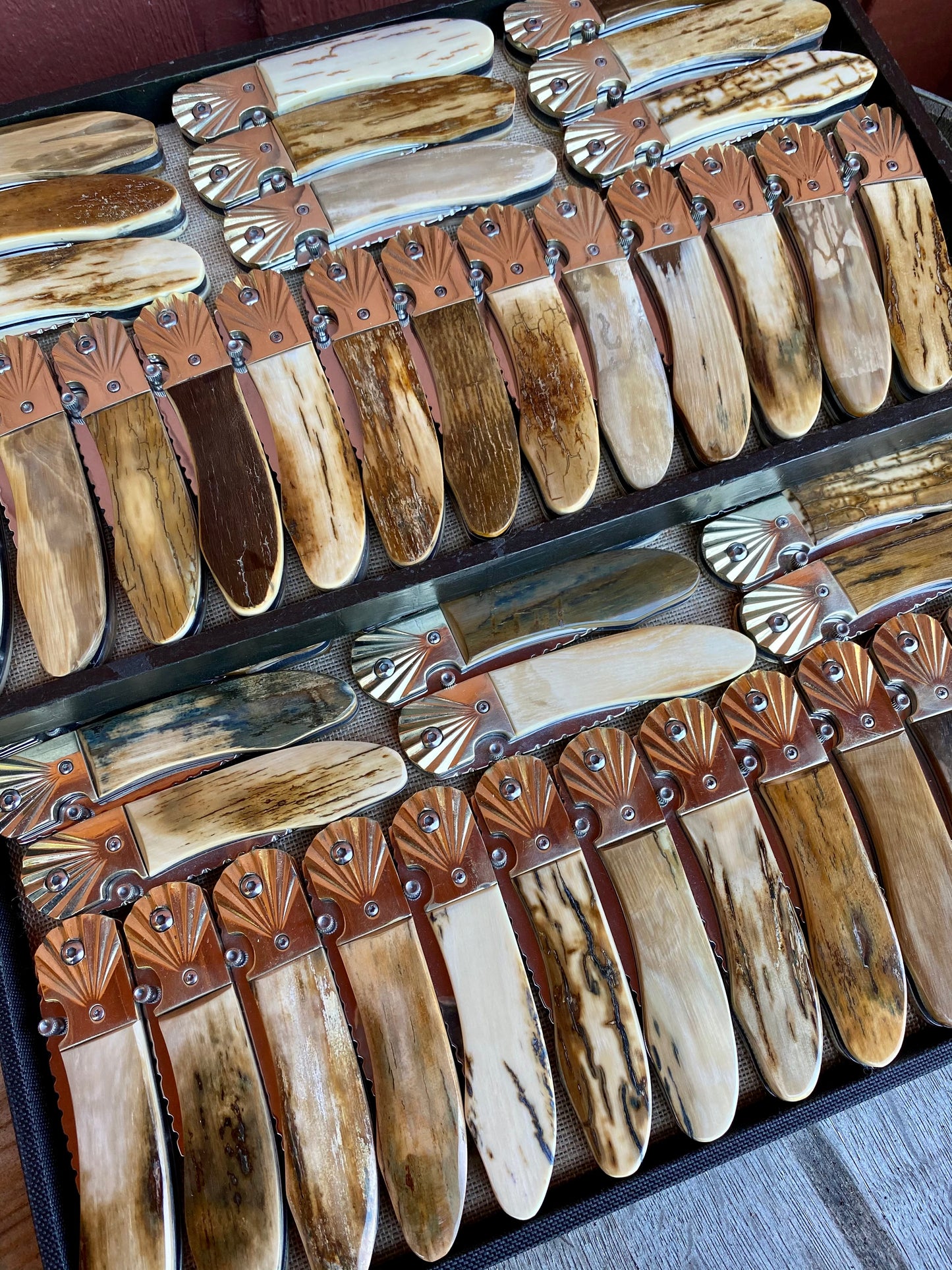 Ursa Aurora Fossil Ivory Pocket Knife