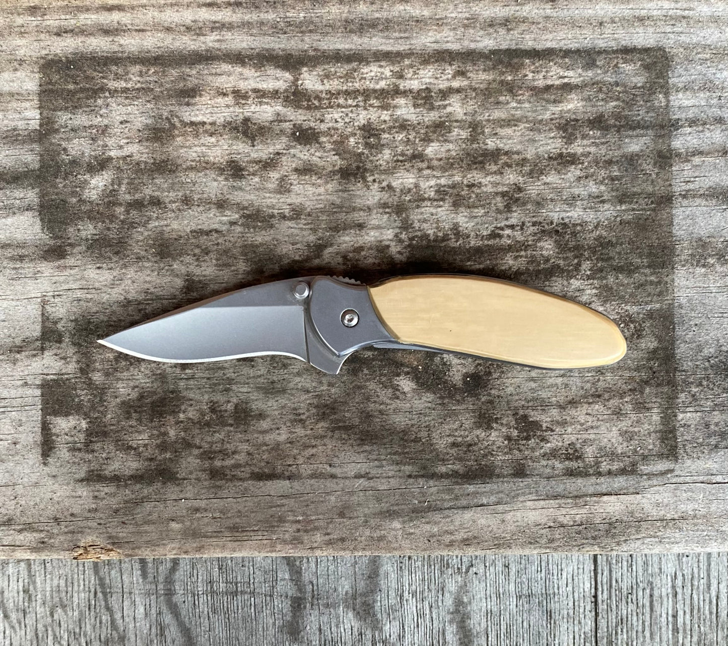 Kershaw Chive Mammoth Ivory Pocket Knife