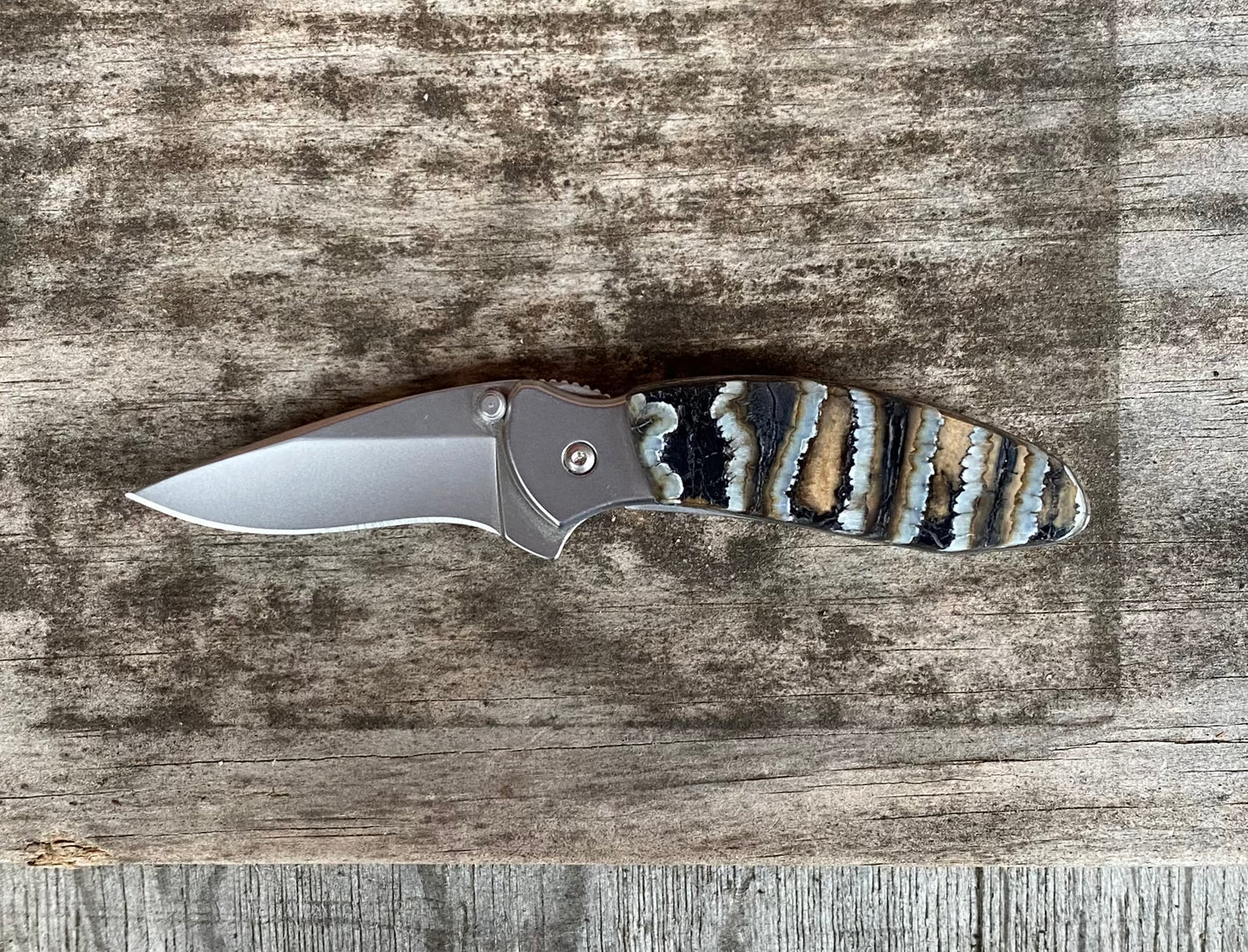 Kershaw Chive Mammoth Tooth Pocket Knife