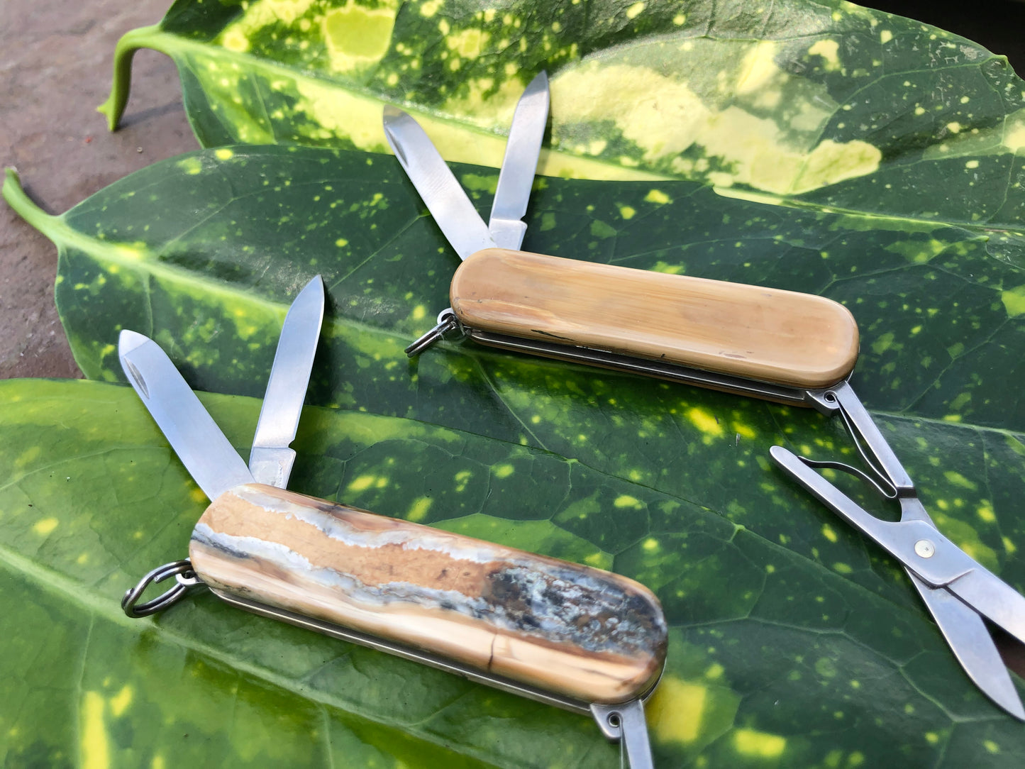 Classic Mammoth Victorinox Swiss Army Knife