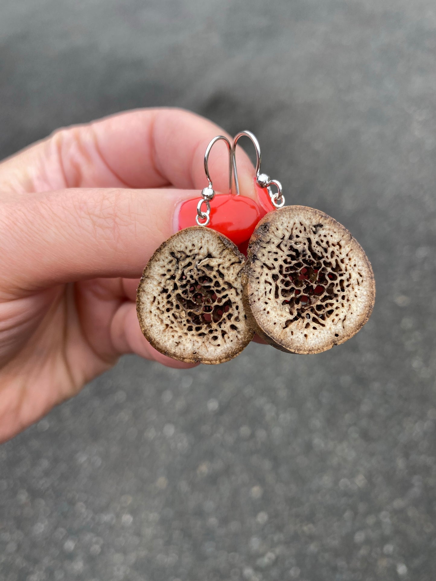 Fossil Walrus "Oosik" Earrings