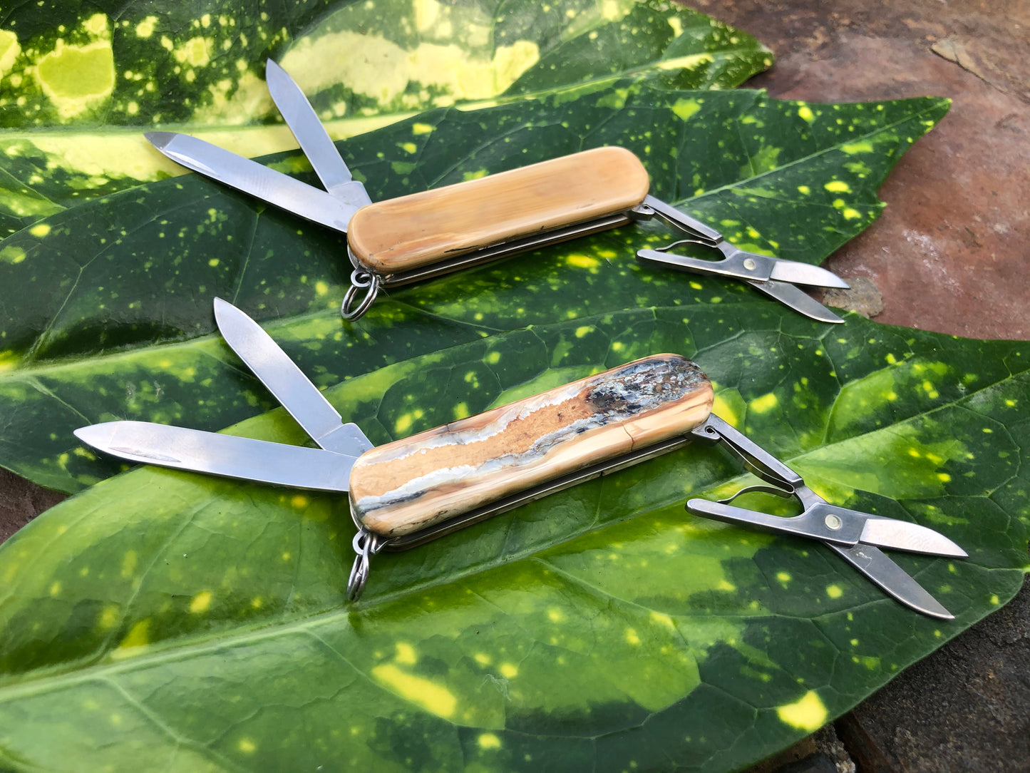 Classic Mammoth Victorinox Swiss Army Knife