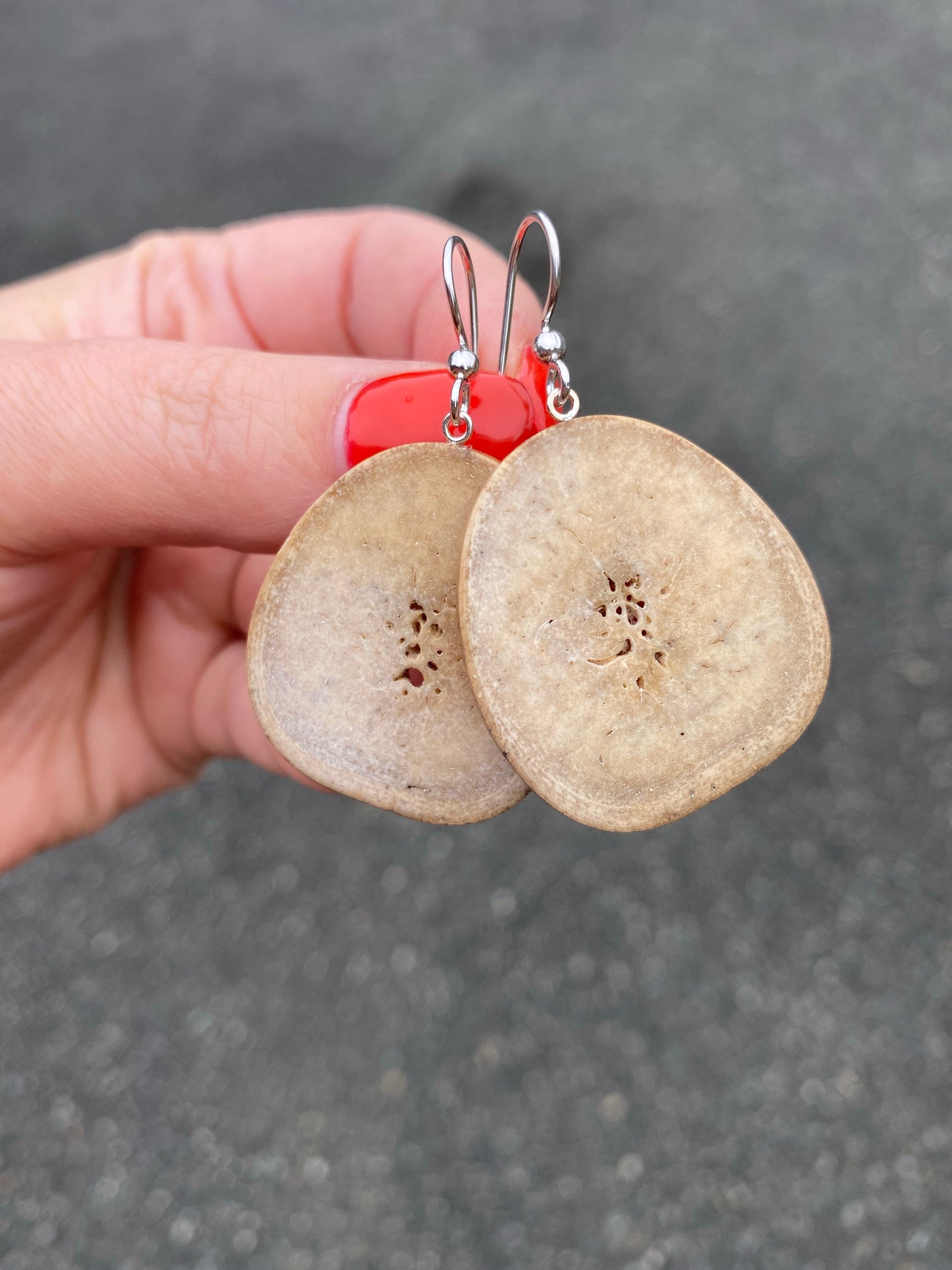 Fossil Walrus "Oosik" Earrings