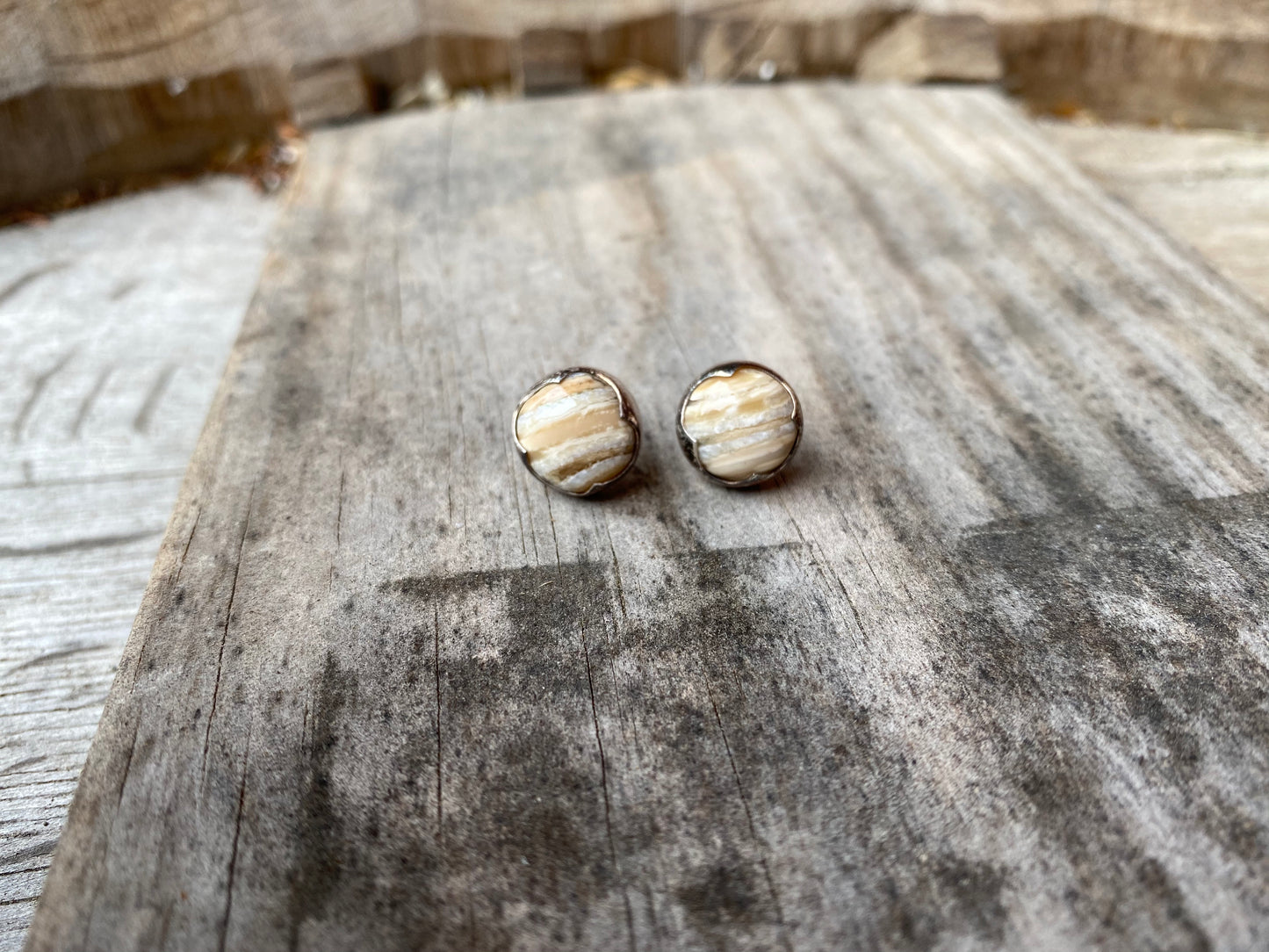 Mammoth Tooth Earrings