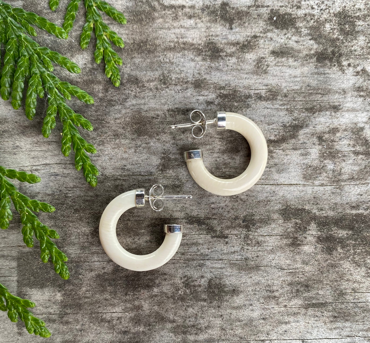 Silver Mammoth Hoops
