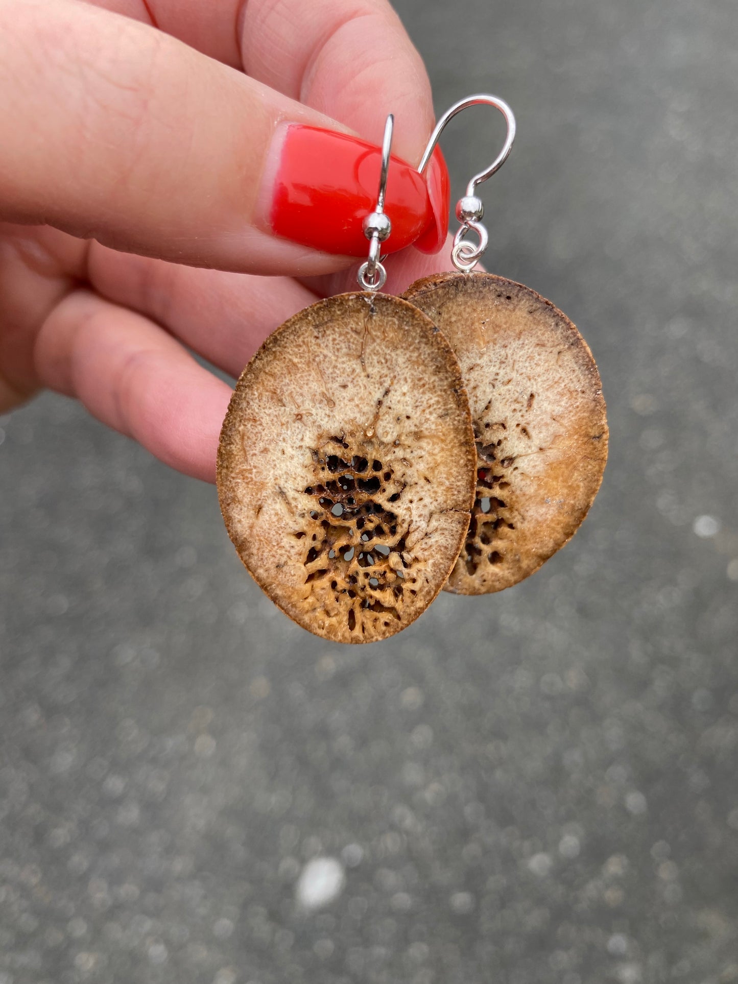 Fossil Walrus "Oosik" Earrings