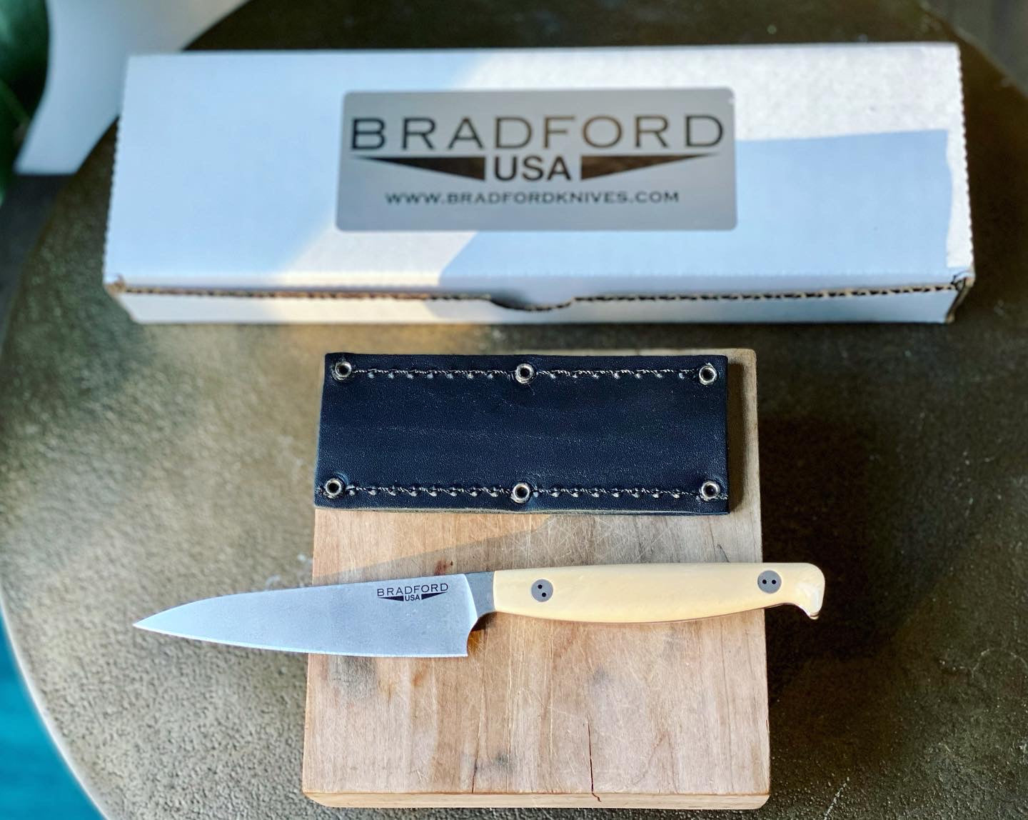 Bradford Fossil Ivory Paring Knife