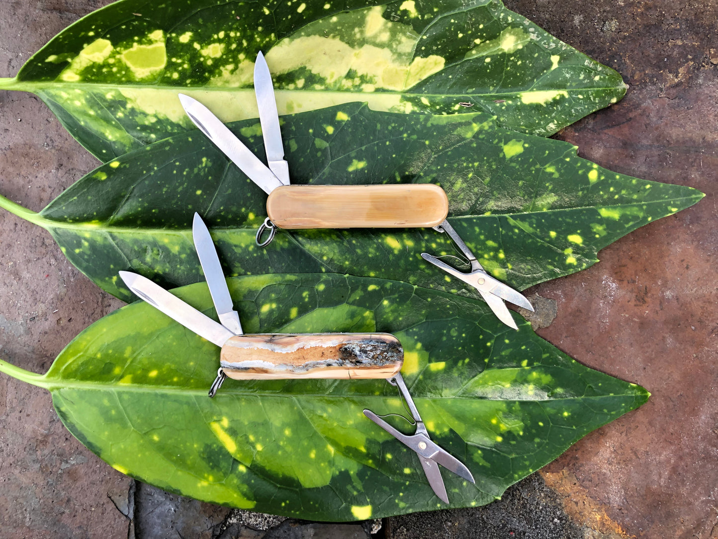 Classic Mammoth Victorinox Swiss Army Knife