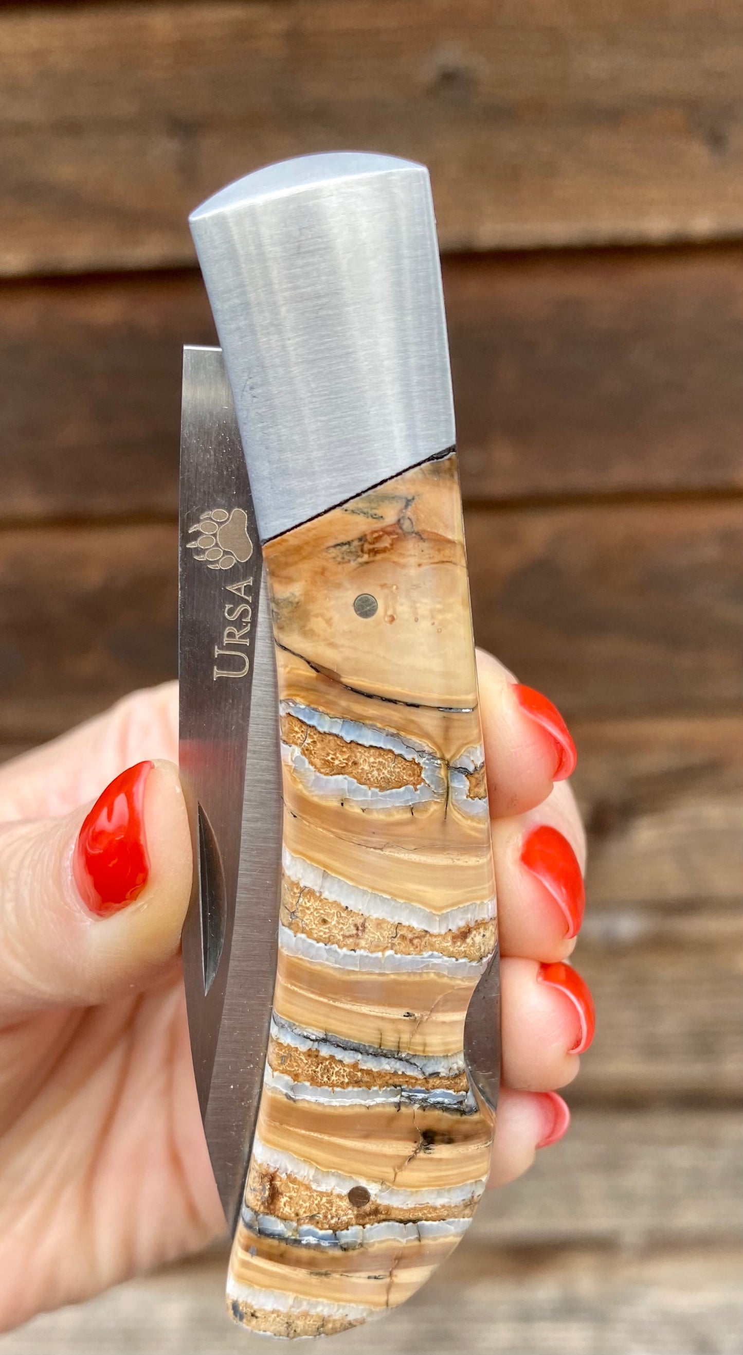 Ursa Mammoth Tooth Pocket Knife