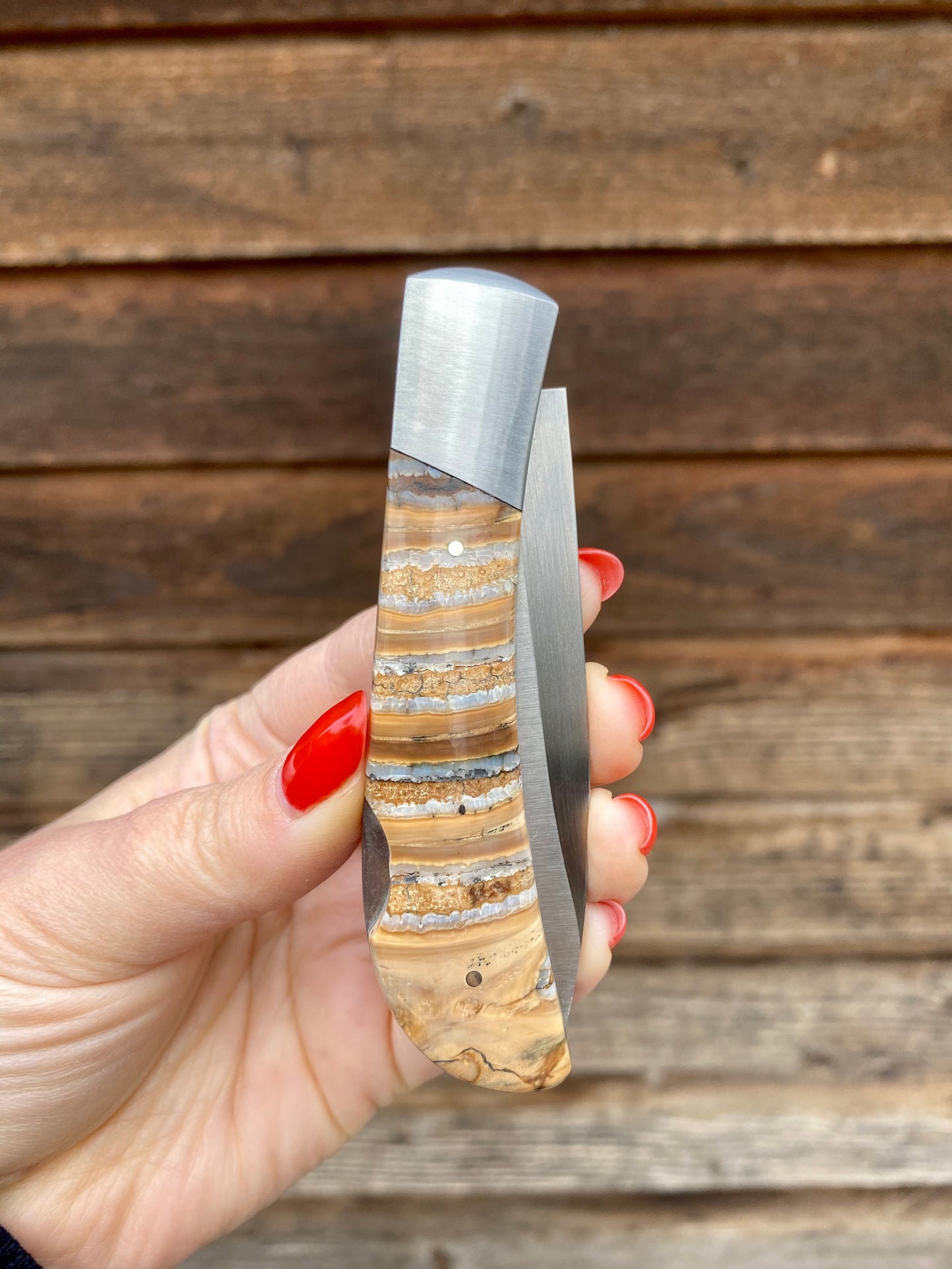 Ursa Mammoth Tooth Pocket Knife