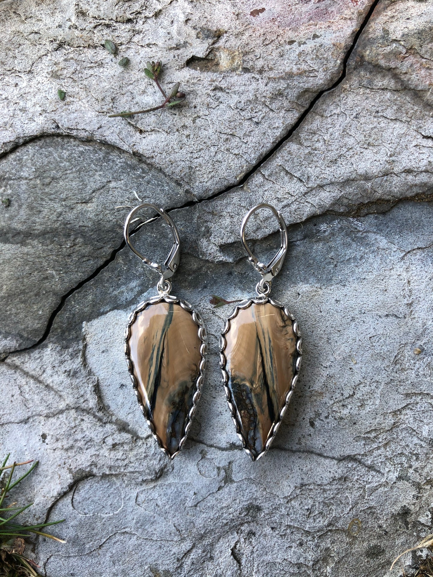 Mammoth Tooth Inverted Drop Earrings