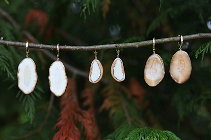 Fossil Walrus Ivory Slice Earrings