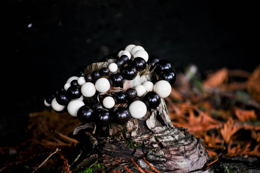 Vintage Ebony Wood & Mammoth Ivory Bracelet