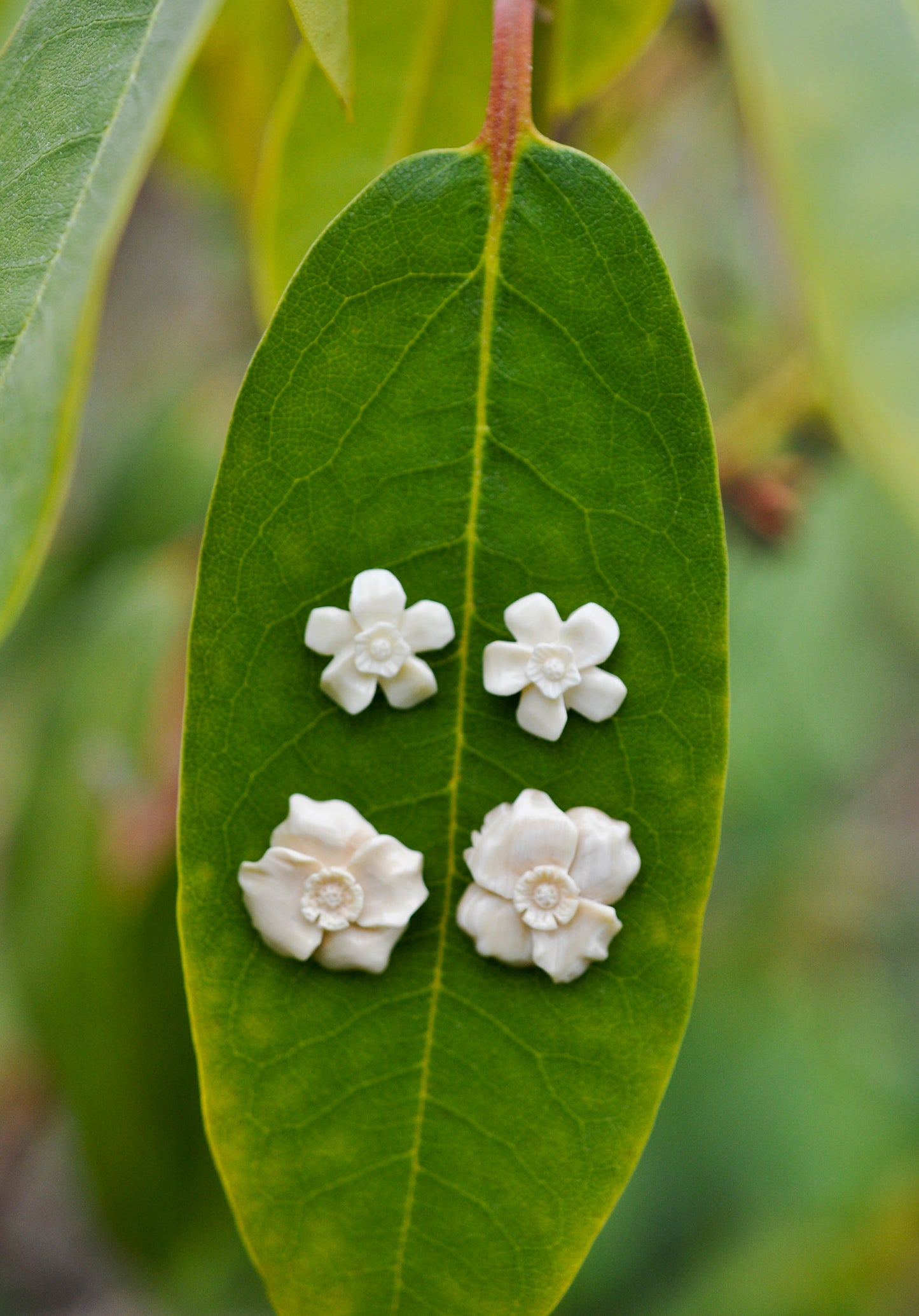 Wild Rose Earrings