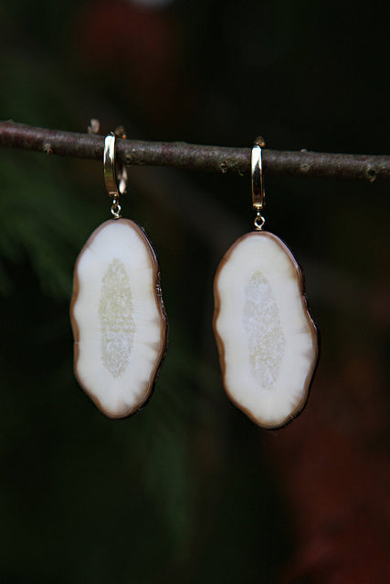 Fossil Walrus Ivory Slice Earrings