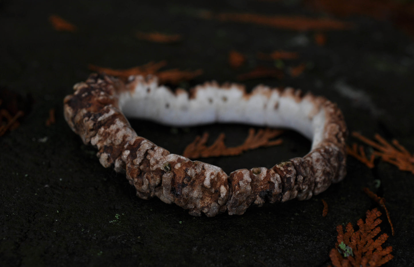 Naturally Shed Elk Antler Crown Bangle