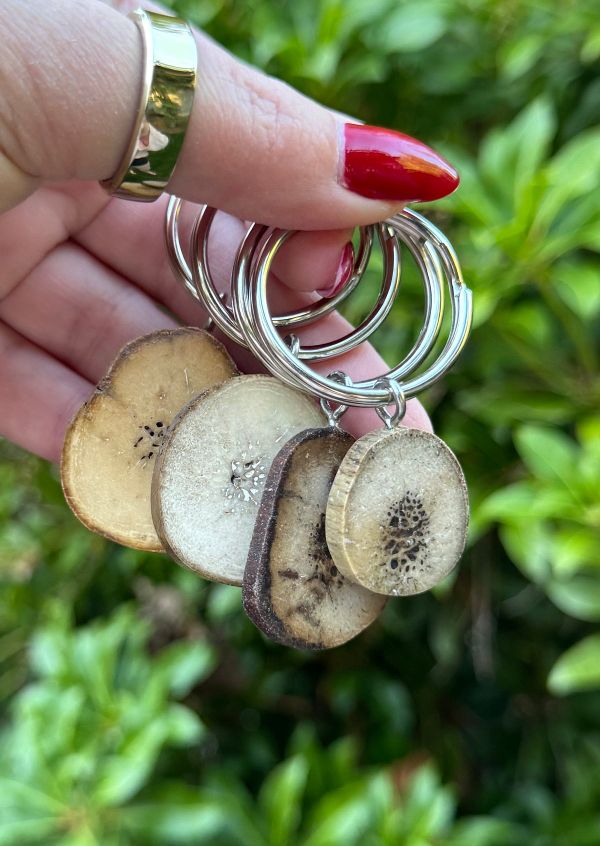 Fossil Walrus Oosik Key Ring