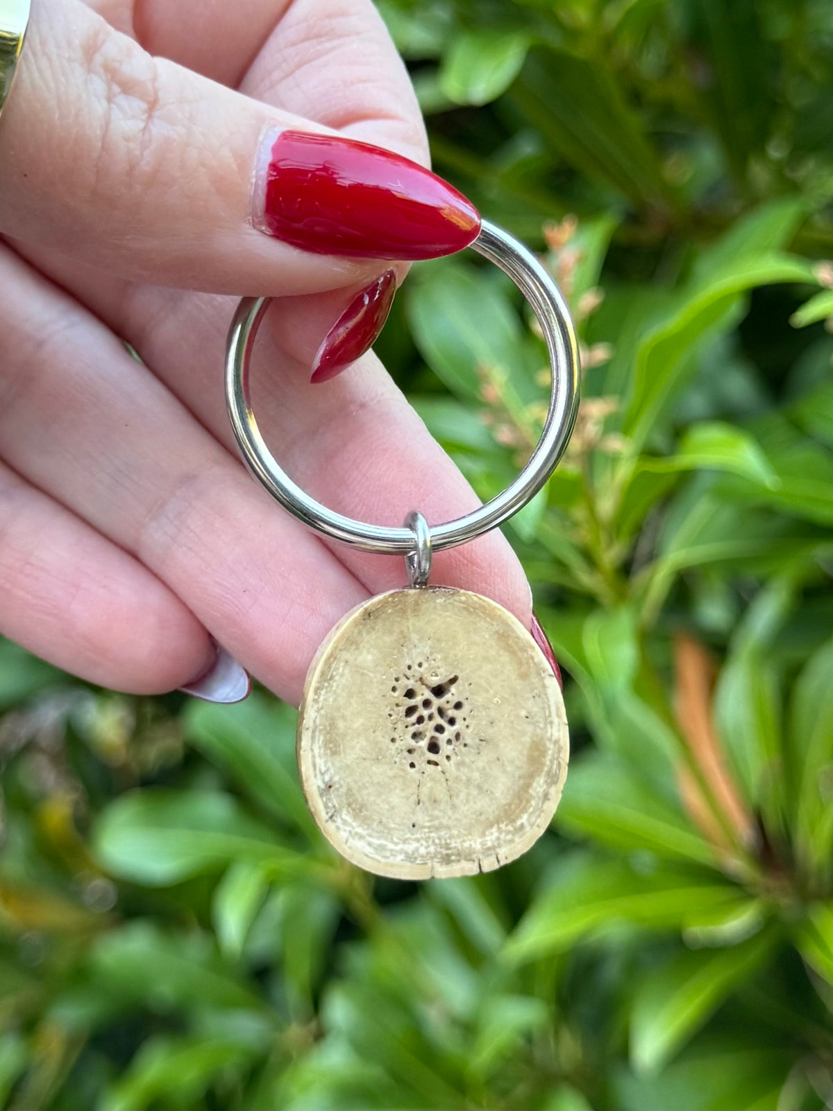 Fossil Walrus Oosik Key Ring
