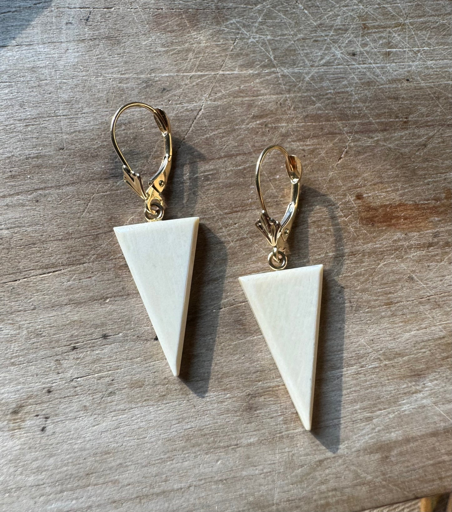 Mammoth Triangle + 14kt Gold Lever Back Earrings