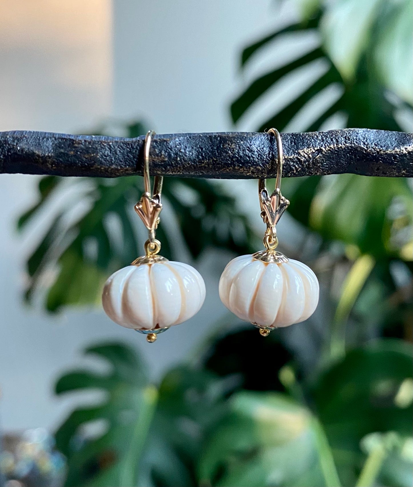Mammoth Pumpkin + 14kt Earrings