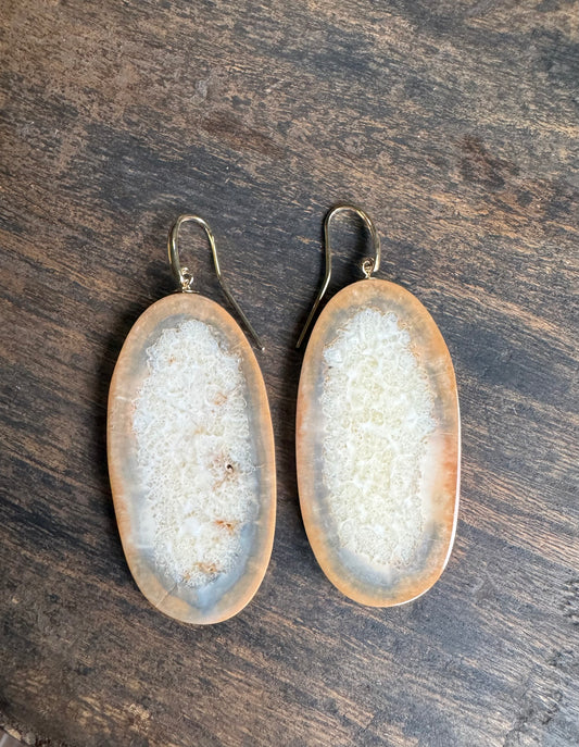 Fossil Walrus Rare Blue Accent Slice + 14kt Gold Earrings