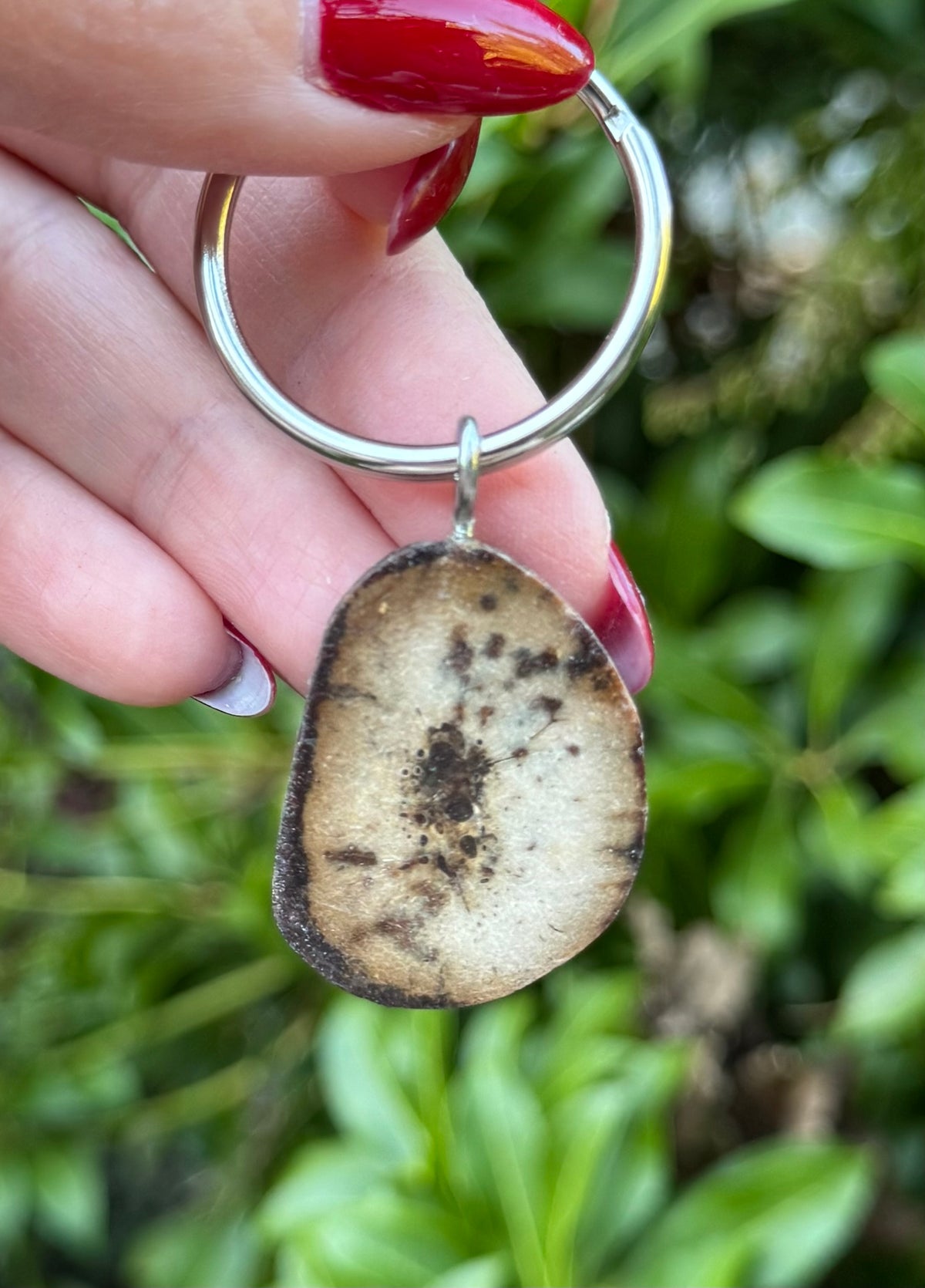 Fossil Walrus Oosik Key Ring