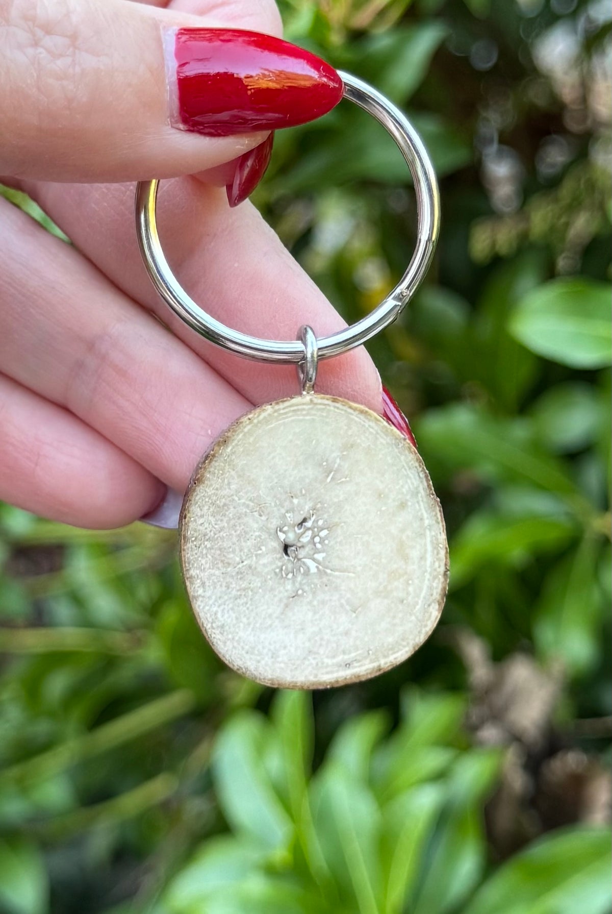 Fossil Walrus Oosik Key Ring