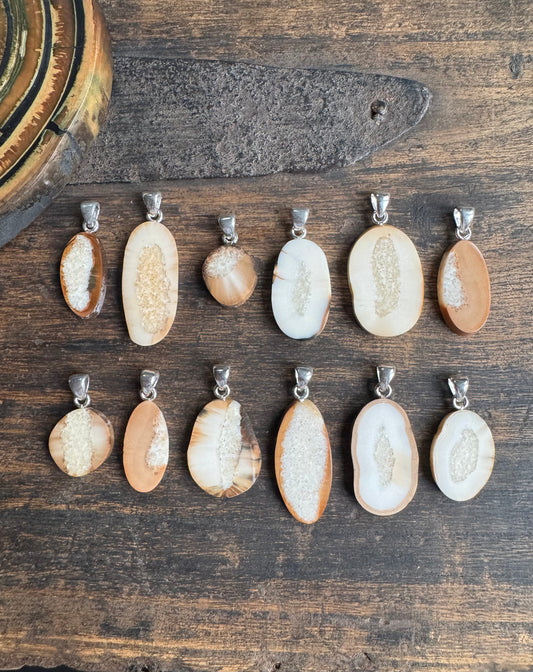 Fossil Walrus Tusk Slice + Sterling Silver Pendant