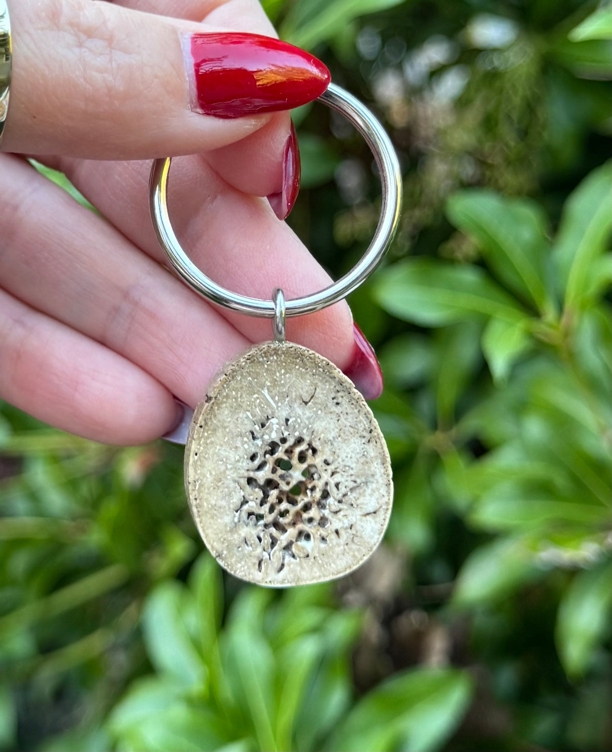 Fossil Walrus Oosik Key Ring