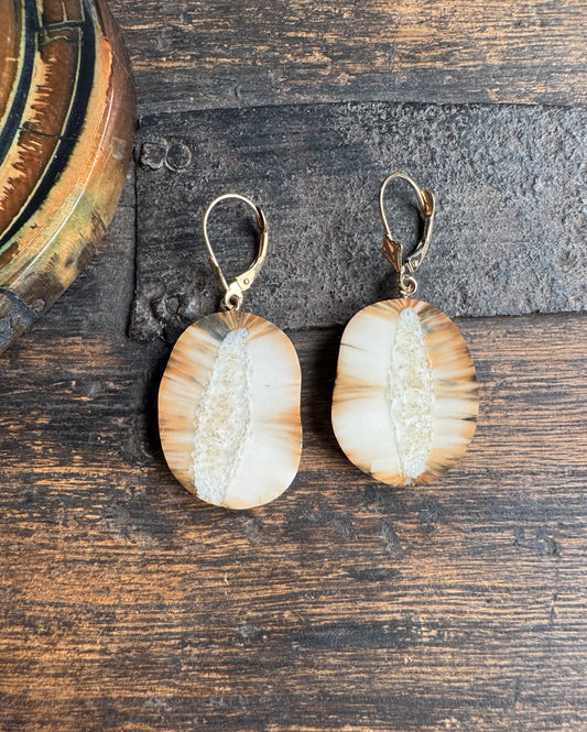 Fossil Walrus Rare Blue Sunburst Slice + 14kt Gold Earrings