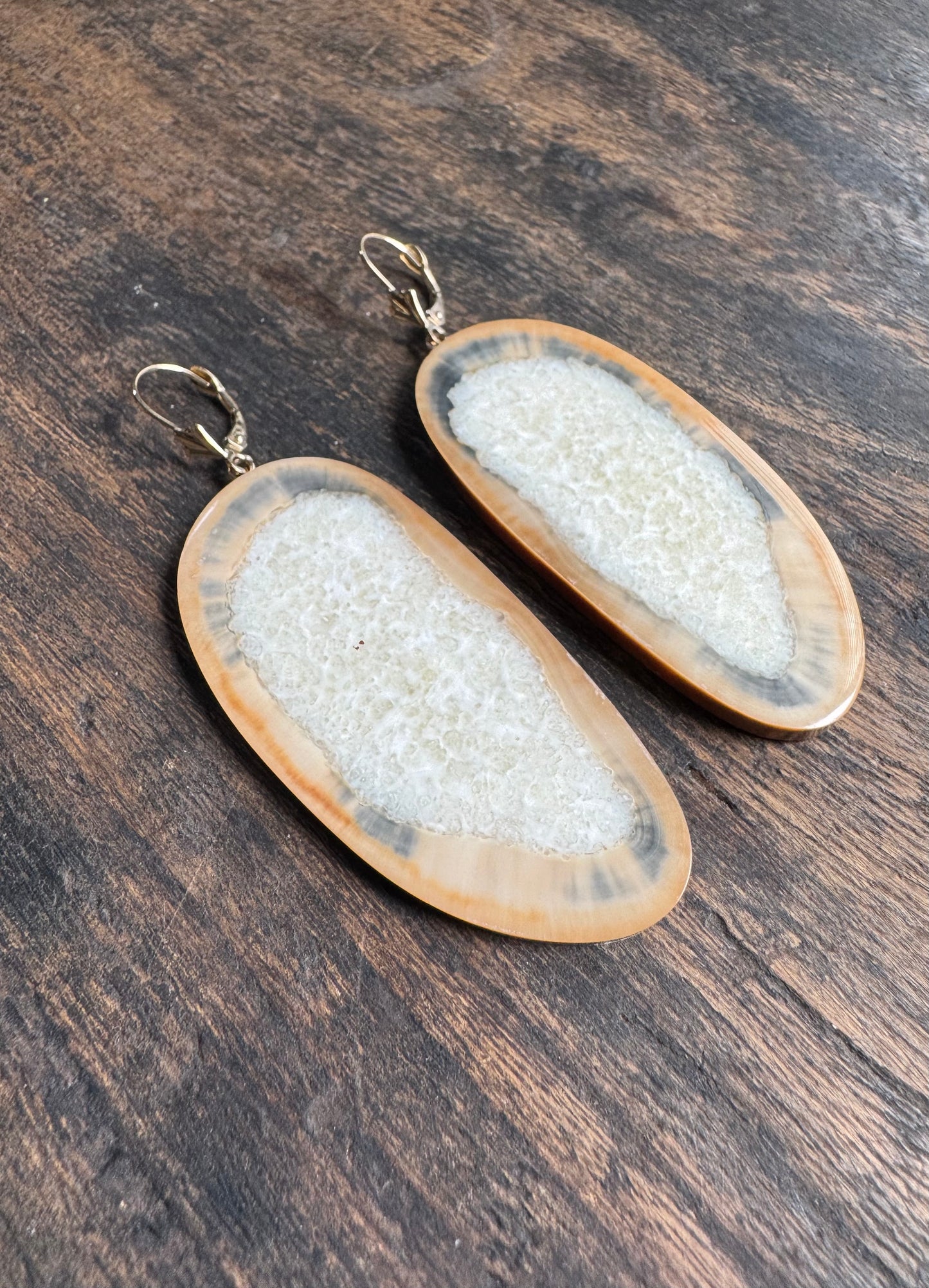 Fossil Walrus Rare Color Tusk Slice + 14kt Gold Earrings