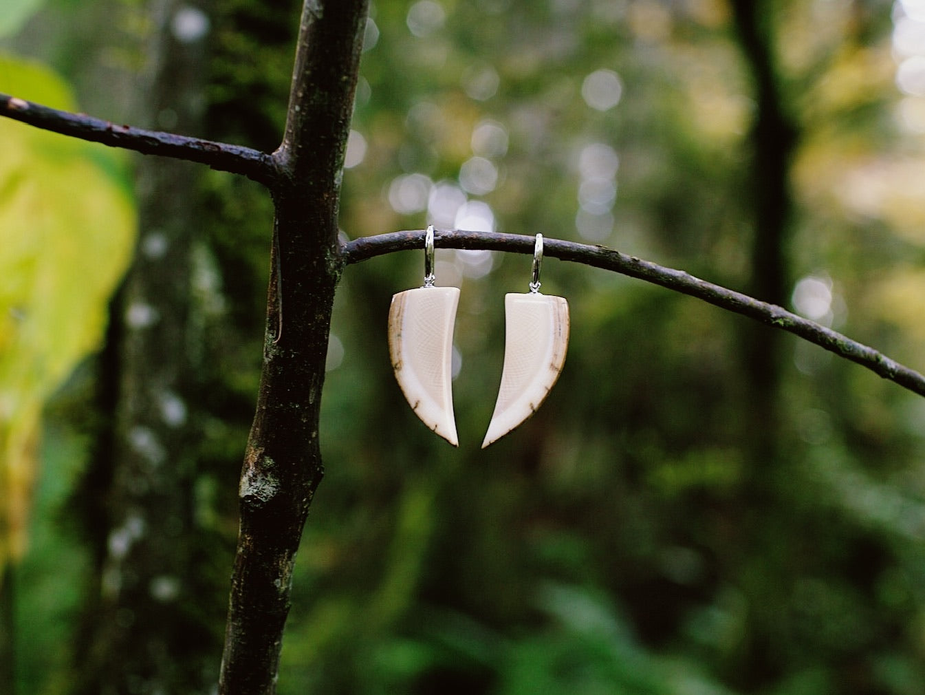 Mammoth Tusk Earrings