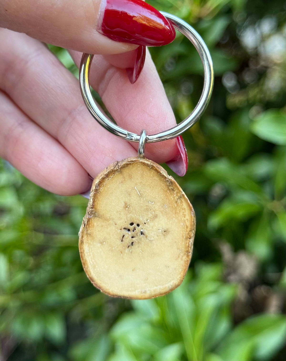 Fossil Walrus Oosik Key Ring