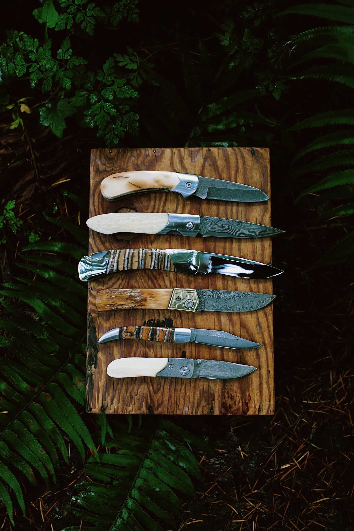 Ursa Black Bear Claw Fossil Ivory Pocket Knife