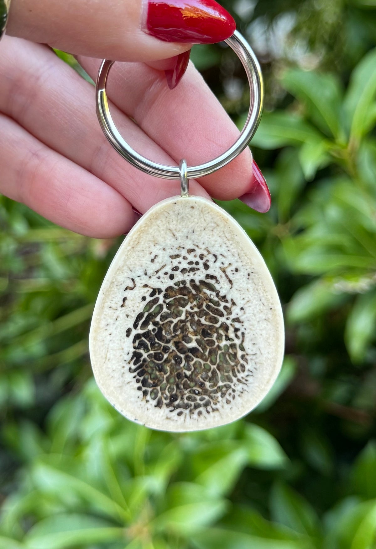 Fossil Walrus Oosik Key Ring