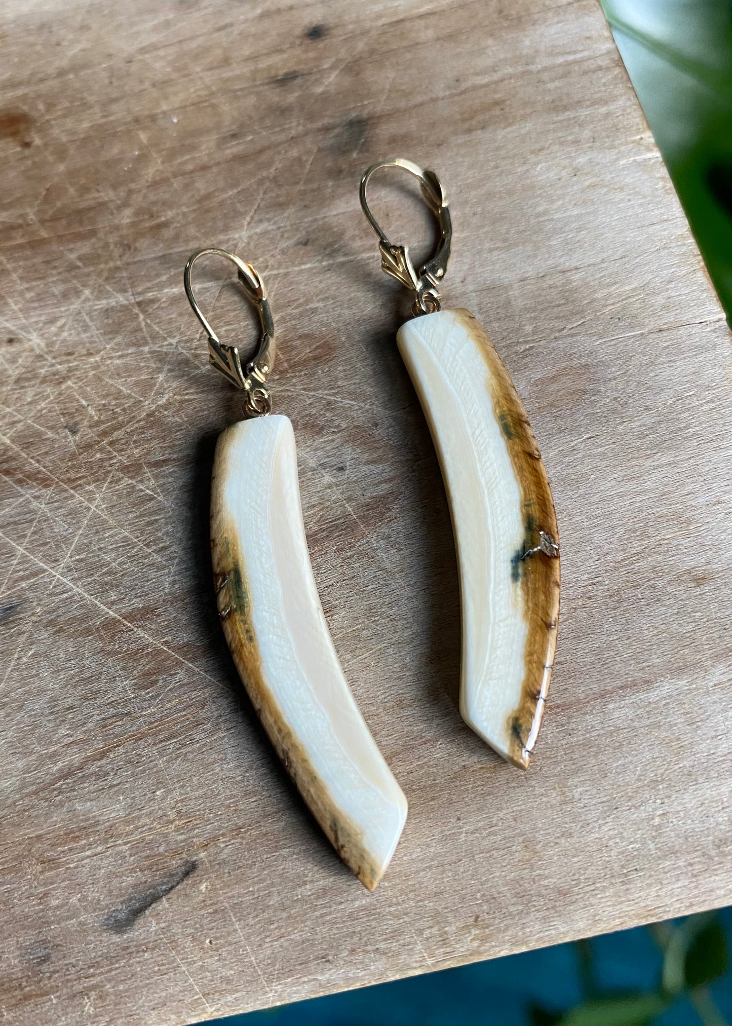 Natural Tusk Earrings